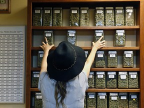 An employee arranges glass display containers of cannabison shelves at a retail and medical cannabis dispensary in Boulder, Colo.