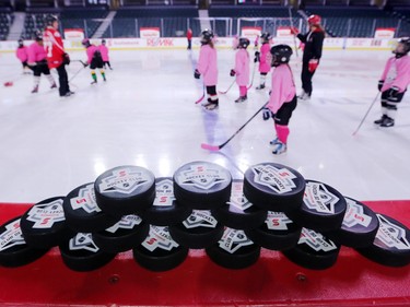 Novice level girls take part in the Scotiabank Girls HockeyFest at the Scotiabank Saddledome in Calgary on Sunday January 8, 2017.