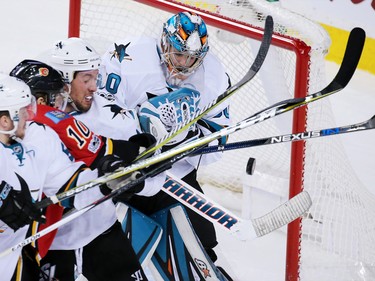 San Jose Sharks goaltender Aaron Dell struggles to stop this Calgary Flames scoring chance in the third period of NHL action at the Scotiabank Saddledome in Calgary on Wednesday January 11, 2017. Calgary won the game 3-2.
