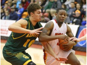 U of C Dinos' Thomas Cooper goes to the hoop past University of Alberta Golden Bears' Brody Clarke during last year's Canada West playoffs. The two sides split a home and home series this past weekend to remain locked at No. 1 and 2 in Canada West standings. (Jim Wells)