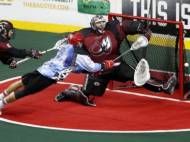 Calgary Roughnecks Wesley Berg, middle, tries to score on Colorado Mammoth goalie Dillon Ward at the Scotiabank Saddledome in Calgary, Alta. on Saturday January 28, 2017. Leah Hennel/Postmedia