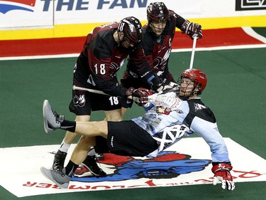 Calgary Roughnecks Tyler Burton, right, collides with Colorado Mammoth players Robert Hope, left and Brent Coates at the Scotiabank Saddledome in Calgary, Alta. on Saturday January 28, 2017. Leah Hennel/Postmedia