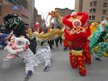 The colorful lion and dragon dance fills the street during Chinese Lunar New Year celebrations in downtown Calgary, Alta at the Chinese Cultural Centre on Saturday January 28, 2017. Jim Wells/Postmedia