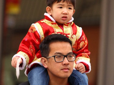 A youngster gets an over the head view of the show during Chinese Lunar New Year celebrations in downtown Calgary, Alta at the Chinese Cultural Centre on Saturday January 28, 2017. Jim Wells/Postmedia