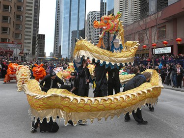 The traditional dragon dance fills the street during Chinese Lunar New Year celebrations in downtown Calgary, Alta at the Chinese Cultural Centre on Saturday January 28, 2017. Jim Wells/Postmedia