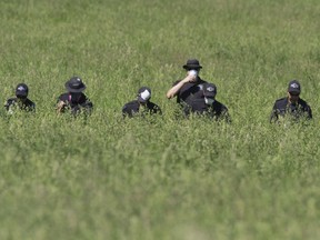 RCMP search through long grass and comb outbuildings at a rural property near Airdrie northeast of Calgary, Alta on Sunday July 6, 2014.  Jim Wells/Postmedia News