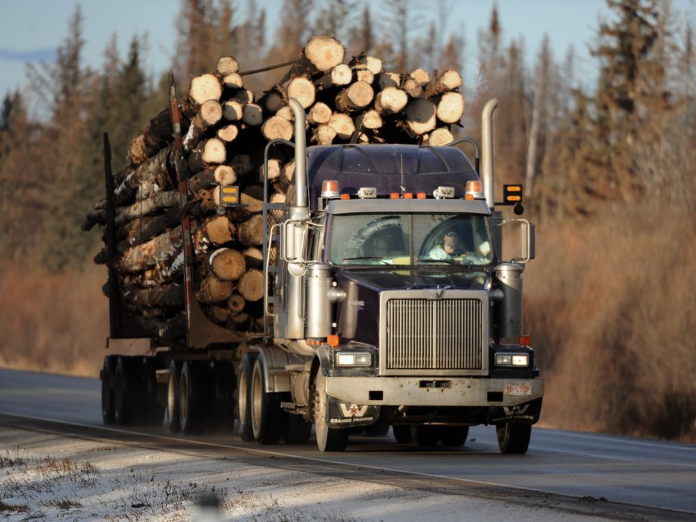 Whittaker: Forest industry knows it has to look after the land ...