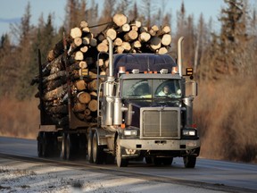In 2016, members of the Alberta Forest Products Association planted 74 million trees. That's an average of more than two trees for every one harvested, writes Paul Whittaker.