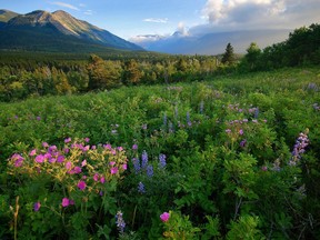 Public input extended on Castle wilderness plan.