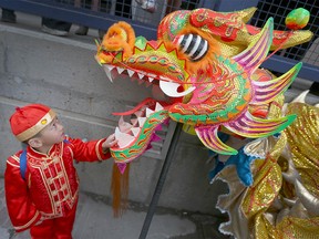 A youngser examines the dragon before the performance begins during Chinese Lunar New Year celebrations in downtown Calgary, Alta at the Chinese Cultural Centre on Saturday January 28, 2017. Jim Wells/Postmedia