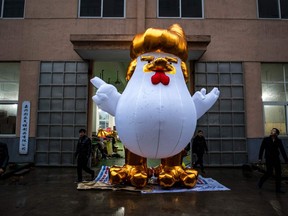 FILE PHOTO: A Chinese factory is hatching giant inflatable chickens resembling Donald Trump to usher in the Year of the Rooster. The five-metre (16-foot) fowls sport the distinctive golden mane of the US president-elect and mimic his signature hand gestures with their tiny wings.