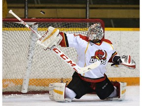 University of Calgary Dinos goalie Steven Stanford handed the University of Alberta Golden Bears their first home shutout loss in over 50 years as the Dinos won 3-0 on the road Saturday. (File)