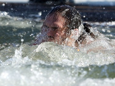 Calgary Stampeders Alex Singleton takes an icy dip during the Polar Plunge Calgary on Saturday February 25, 2017, in support of Special Olympics. Leah Hennel/Postmedia