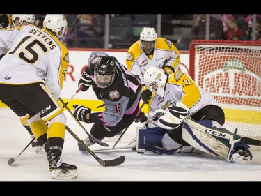 Tristen Nielsen of the Calgary Hitmen is stopped by of the Brandon Wheat Kings goalie Travis Child near Rylan Bettens and Caiden Daley (rear) during the first-ever BE BRAVE Anti-Bullying Game, a regular-season WHL tilt between the Calgary Hitmen and Brandon Wheat Kings, in Calgary, Alta., on Wednesday, Feb. 22, 2017. More than 8,000 students from Calgary and area were bussed to the morning game as part of Pink Shirt Day, enjoying concourse activities and special entertainment in addition to the regular-season game. Lyle Aspinall/Postmedia Network
