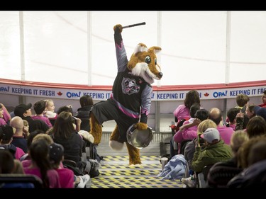 Farley the Fox tries to work up a pink-dressed during the first-ever BE BRAVE Anti-Bullying Game, a regular-season WHL tilt between the Calgary Hitmen and Brandon Wheat Kings, in Calgary, Alta., on Wednesday, Feb. 22, 2017. More than 8,000 students from Calgary and area were bussed to the morning game as part of Pink Shirt Day, enjoying concourse activities and special entertainment in addition to the regular-season game. Lyle Aspinall/Postmedia Network