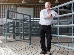 Rich Vesta, CEO of Harmony Beef, near the holding pens in Balzac, in this file photo.