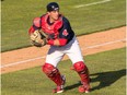 Calgary-raised catcher Jordan Procyshen, a graduate of the Okotoks Dawks program, will attend major-league spring training with the Boston Red Sox. Now 23 years old, Procyshen played for the Single-A Salem Red Sox in 2016.
