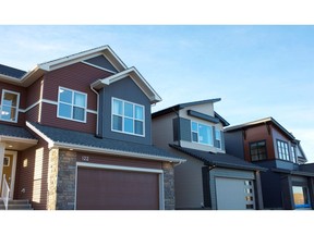 The streetscape of new show homes in the community of Carrington by Genstar Development Co.