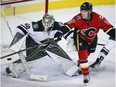 Minnesota Wild goalie Devan Dubnyk (40) looks on as Calgary Flames left wing Matthew Tkachuk (19) tries to deflect a shot into the net during first period NHL hockey action in Calgary, Wednesday, Feb. 1, 2017.