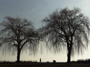 A man and his dog walk on the boardwalk along Lake Ontario, in Toronto in a January 16, 2017, file photo.