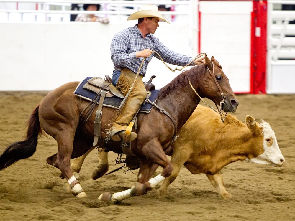 Millarville's John Swales earns title of World's Greatest Horseman