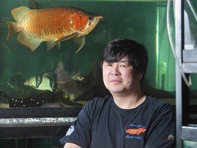 Wayne Woo of Riverfront Aquariums, photographed at the store in 2009.