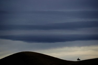 CoBie Herr rides the range on the Lazy U Ranch near Pincher Creek on March 20, 2016.