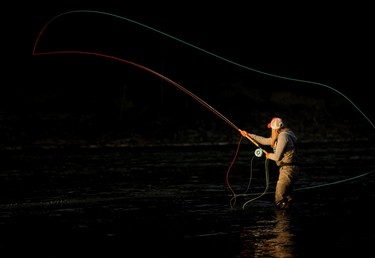 Fly fishing guide Paula Shearer spey casts on the Bow River, August 20, 2016.