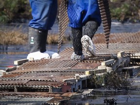 Workers wear protective clothing during cleanup of a 2015 pipeline spill in Alberta.