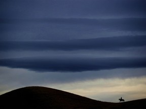 CoBie Herr rides the range on the Lazy U Ranch near Pincher Creek, Alta., on Sunday March 20, 2016. Leah Hennel/Postmedia      This is one of two 2016 photos by Hennel that were nominated for a NNA, National Newspaper Award.