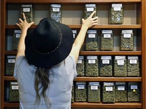 An employee arranges glass display containers of marijuana on shelves at a retail and medical cannabis dispensary in Boulder, Colo.