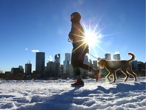 A jogger and dog run along McHugh Bluff in northwest Calgary.