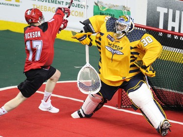 The Calgary Roughnecks' Curtis Dickson goes over the top in this scoring chance on Georgia Swarm goaltender Mike Poulin during National Lacrosse League action at the Scotiabank Saddledome in Calgary on Saturday March 4, 2017.