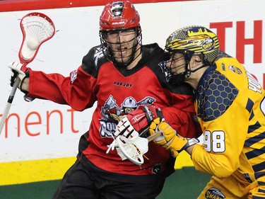 The Calgary Roughnecks' Dan MacRae and the Georgia Swarm's Sean Young fight for control during National Lacrosse League action at the Scotiabank Saddledome in Calgary on Saturday March 4, 2017.