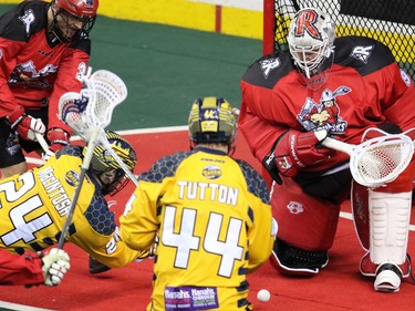 Calgary Roughnecks goaltender Frank Scigliano stops this shot by the Georgia Swarm's Jordan Macintosh during National Lacrosse League action at the Scotiabank Saddledome in Calgary on Saturday March 4, 2017.
