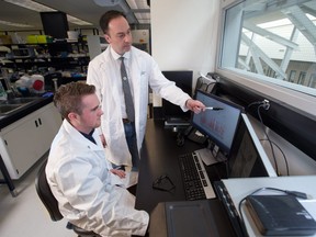 University of Calgary researchers Dr. Aaron Goodarzi, right, and first author Fintan Stanley have found that radioactive radon gas exceeds safe levels in one in eight Calgary homes. The researchers were photographed in their university lab on March 28, 2017. Gavin Young/Postmedia Network