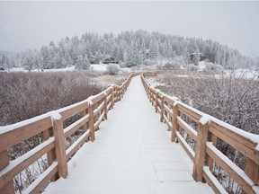 Elkwater Lake Boardwalk at Cypress Hills.