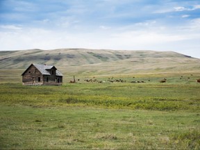 Oxley Ranch in Southern Alberta. Photo Courtesy Nature Conservancy of Canada.