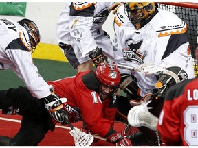 Calgary Roughnecks Wesley Berg tries to put one past New England Black Wolves goalie Evan Kirk during their game at the Scotiabank Saddledome in Calgary, Alta. on Saturday March 25, 2017.