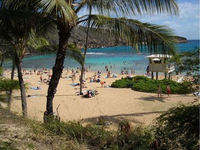 Sunbathers and snorkelers enjoying a balmy beach day at Hanauma Bay, on the east side of Oahu, Hawaii. The bay is home to hordes of colorful tropical fish.