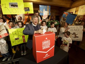 Calgary Zoo President and CEO Dr. Clément Lanthier stands with a ballot box while being backed by supporters of various animal candidates during the launch of the zoo's 'Canada's Greatest Animal' contest inside the Cequel Energy Lodge at the Calgary Zoo in Calgary, Alta., on Thursday, March 23, 2017. The contst is part of Canada 150 celebrations; the candidates are the great grey owl, bison, grey wolf, Rocky Mountain goat, whooping crane, beaver and grizzly bear.