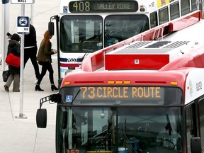 Calgary Transit buses