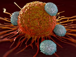 T-cells attacking a cancer cell in this illustration of  microscopic photos.