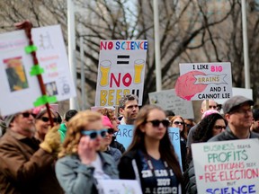 Crowds gather during the March for Science at City Hall in Calgary, Alta., on Saturday April 22, 2017. Leah Hennel/Postmedia