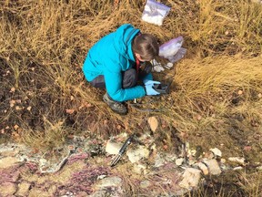 University of Calgary student Jessica Ellis collects a sample of fossil groundwater in northeastern Alberta in an Oct., 2016 handout photo. Research led by a University of Calgary geologist suggests water that has been stored underground for thousands of years is not immune to modern-day contamination. THE CANADIAN PRESS/HO-University of Calgary-Scott Jasechko.