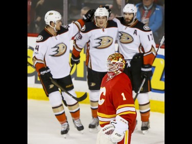 The Anaheim Ducks celebrate their second first-period goal near Calgary Flames goalie Brian Elliott during NHL action in Calgary, Alta., on Sunday, April 2, 2017. Lyle Aspinall/Postmedia Network