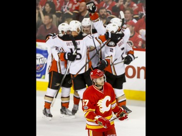 Michael Frolik of the Calgary Flames skates past the Anaheim Ducks as they celebrate a go-ahead 3-2 goal during NHL action in Calgary, Alta., on Sunday, April 2, 2017. Lyle Aspinall/Postmedia Network