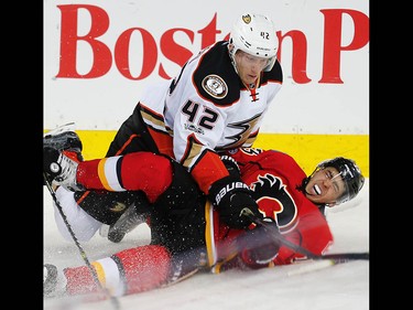 Anaheim Ducks Josh Manson knocks Johnny Gaudreau of the Calgary Flames to the ice during 2017 Stanley Cup playoffs in Calgary, Alta., on Wednesday, April 19, 2017. AL CHAREST/POSTMEDIA