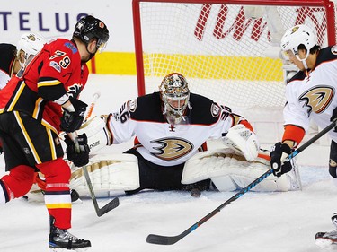 Anaheim Ducks John Gibson makes a save on a shot by Micheal Ferland of the Calgary Flames during 2017 Stanley Cup playoffs in Calgary, Alta., on Wednesday, April 19, 2017. AL CHAREST/POSTMEDIA