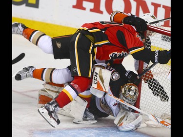 Flames Curtis Lazar is taken down in the Ducks crease on top of Anaheim goalie John Gibson during NHL playoff game 4 action between the Calgary Flames and Anaheim Ducks in Calgary, Alta on Wednesday April 19, 2017. Jim Wells/Postmedia